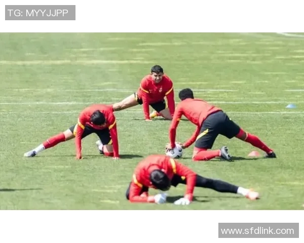 昔日王者世界杯预选赛状态下滑，何去何从？