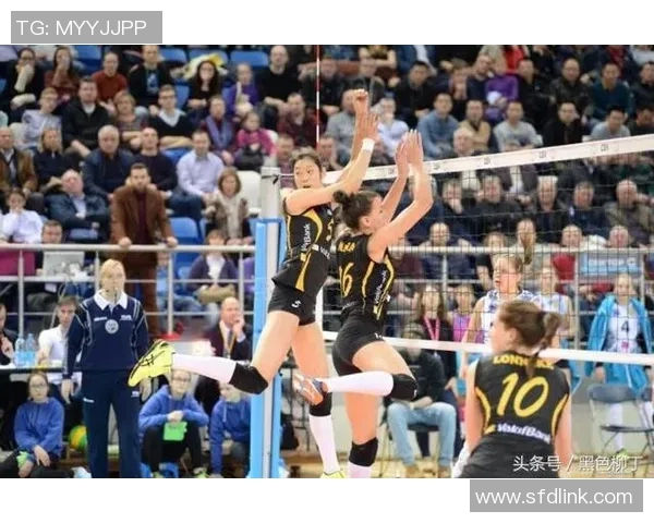 昔日王者伤病名单状态下滑，何去何从？